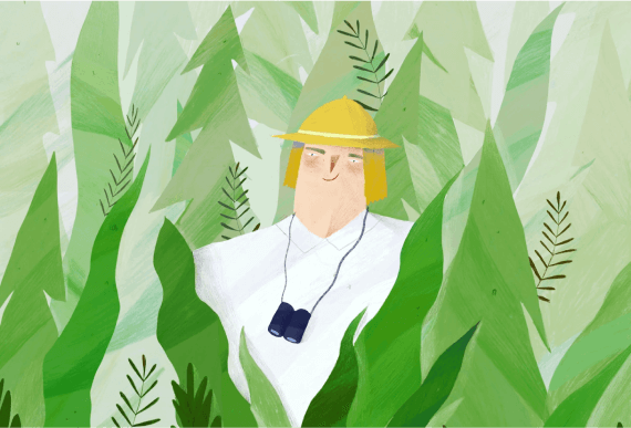 Plant, Forest, Plant! - Fensi Furniture